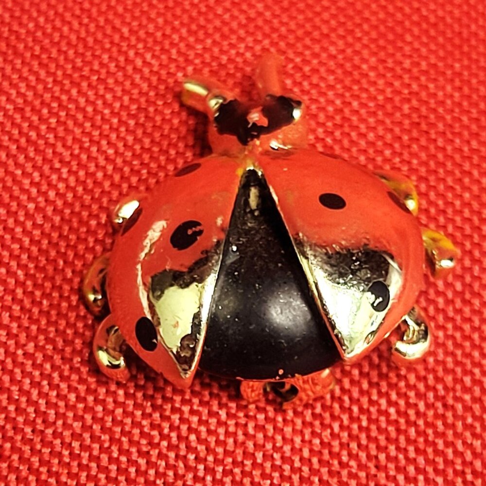 Ladybug Brooch Domed Back Separated Wing 3D